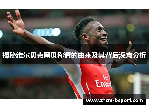 揭秘维尔贝克黑贝称谓的由来及其背后深意分析