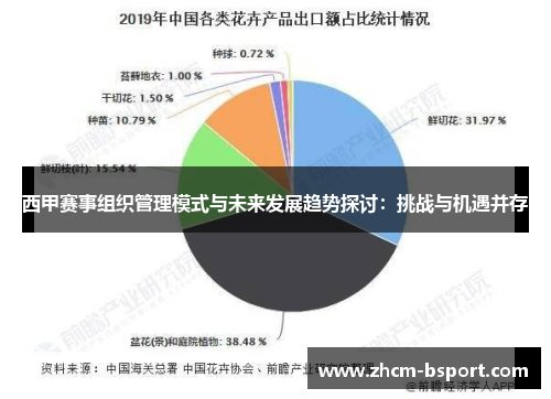 西甲赛事组织管理模式与未来发展趋势探讨:挑战与机遇并存 西甲赛事组织管理模式与未来发展趋势探讨:挑战与机遇并存